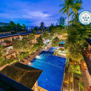 4* Feriested Montra